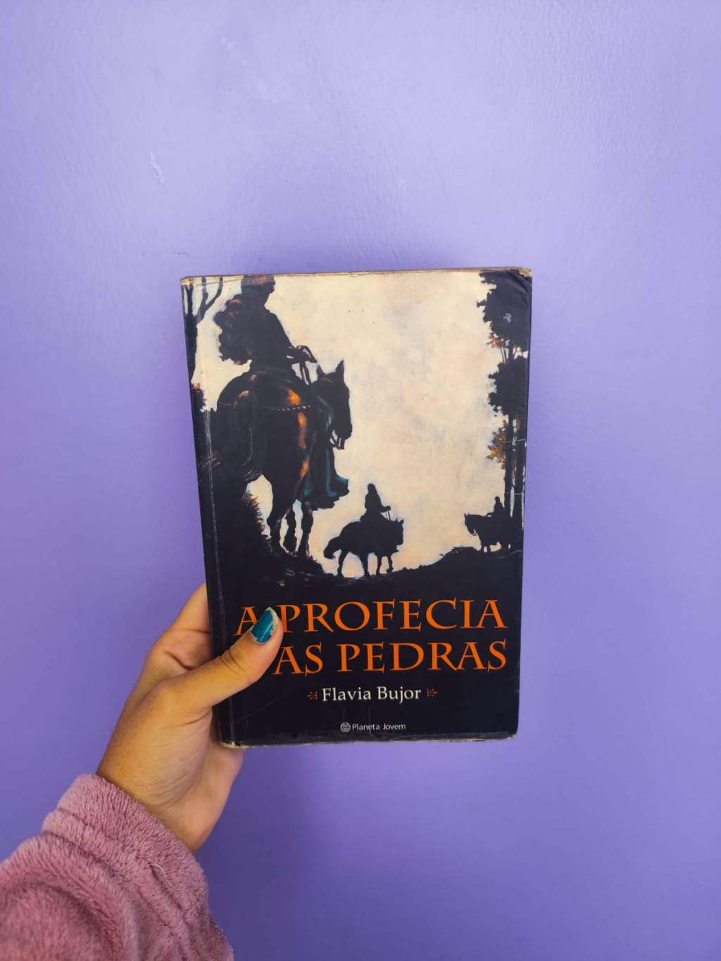 A Profecia das Pedras: fantasia, amizade e esperança em um livro&nbsp;inesquecível